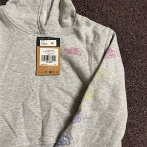 The North Face Gray Hoodie with Colorful Logos